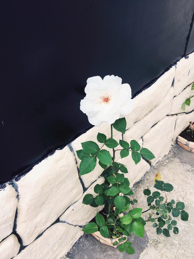 Guest House Maxim ماكينجاوري المظهر الخارجي الصورة